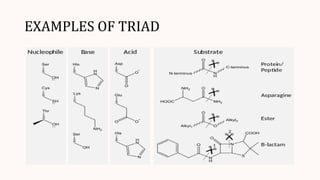 EXAMPLES OF TRIAD
 