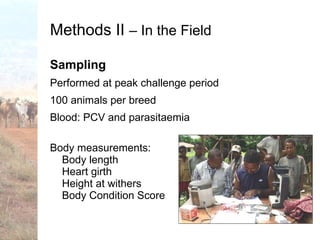 Trypanotolerance and phenotypic characteristics of four Ethiopian cattle breeds