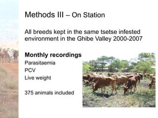 Trypanotolerance and phenotypic characteristics of four Ethiopian cattle breeds