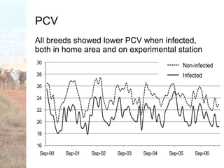 Trypanotolerance and phenotypic characteristics of four Ethiopian cattle breeds
