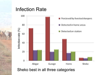 Trypanotolerance and phenotypic characteristics of four Ethiopian cattle breeds