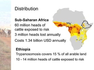 Trypanotolerance and phenotypic characteristics of four Ethiopian cattle breeds