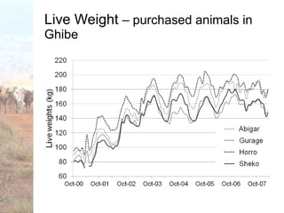 Trypanotolerance and phenotypic characteristics of four Ethiopian cattle breeds