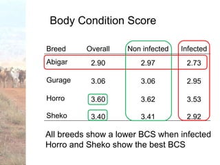 Trypanotolerance and phenotypic characteristics of four Ethiopian cattle breeds
