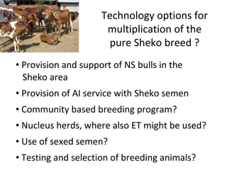Trypanotolerance and phenotypic characteristics of four Ethiopian cattle breeds