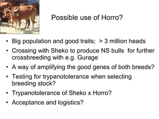 Trypanotolerance and phenotypic characteristics of four Ethiopian cattle breeds