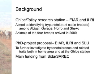 Trypanotolerance and phenotypic characteristics of four Ethiopian cattle breeds