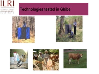 Technological options on tryps and tsetse management - Experiences from Ghibe Valley 