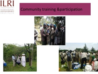 Technological options on tryps and tsetse management - Experiences from Ghibe Valley 