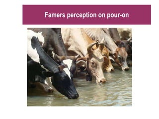 Technological options on tryps and tsetse management - Experiences from Ghibe Valley 