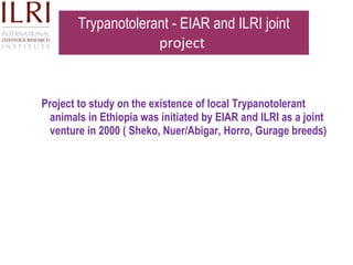Technological options on tryps and tsetse management - Experiences from Ghibe Valley 