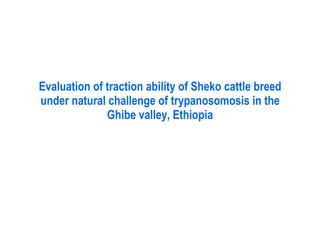 Technological options on tryps and tsetse management - Experiences from Ghibe Valley 