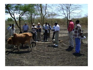 Technological options on tryps and tsetse management - Experiences from Ghibe Valley 