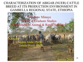 Technological options on tryps and tsetse management - Experiences from Ghibe Valley 