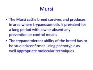 Technological options on tryps and tsetse management - Experiences from Ghibe Valley 