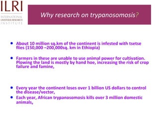 Technological options on tryps and tsetse management - Experiences from Ghibe Valley 