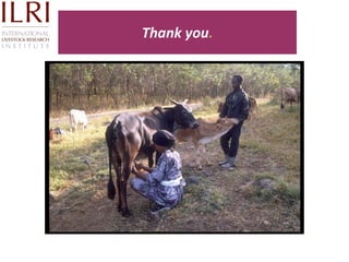 Technological options on tryps and tsetse management - Experiences from Ghibe Valley 