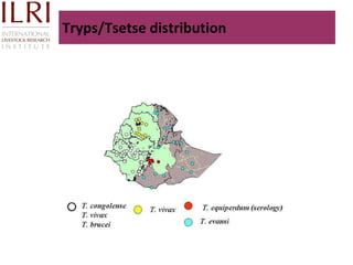 Technological options on tryps and tsetse management - Experiences from Ghibe Valley 