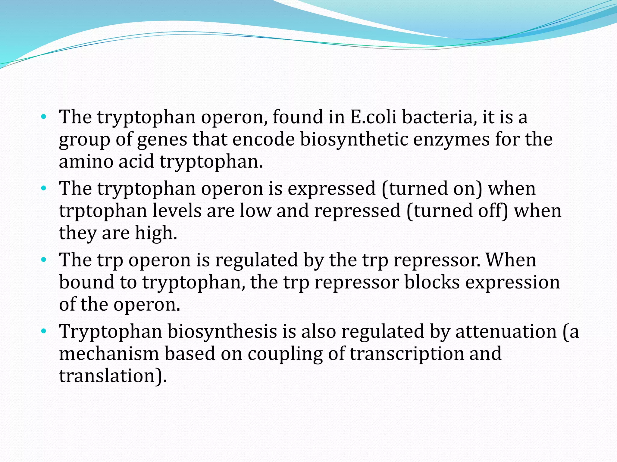 • The tryptophan operon, found in E.coli bacteria, it is a
group of genes that encode biosynthetic enzymes for the
amino acid tryptophan.
• The tryptophan operon is expressed (turned on) when
trptophan levels are low and repressed (turned off) when
they are high.
• The trp operon is regulated by the trp repressor. When
bound to tryptophan, the trp repressor blocks expression
of the operon.
• Tryptophan biosynthesis is also regulated by attenuation (a
mechanism based on coupling of transcription and
translation).
 