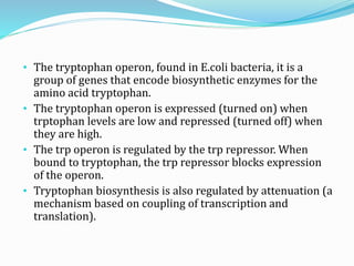 • The tryptophan operon, found in E.coli bacteria, it is a
group of genes that encode biosynthetic enzymes for the
amino acid tryptophan.
• The tryptophan operon is expressed (turned on) when
trptophan levels are low and repressed (turned off) when
they are high.
• The trp operon is regulated by the trp repressor. When
bound to tryptophan, the trp repressor blocks expression
of the operon.
• Tryptophan biosynthesis is also regulated by attenuation (a
mechanism based on coupling of transcription and
translation).
 