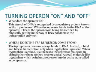 TURNING OPERON “ON” AND “OFF”
 What does the operator do?
This stretch of DNA is recognized by a regulatory protein known
as the trp repressor. When the repressor binds to the DNA of the
operator, it keeps the operon from being transcribed by
physically getting in the way of RNA polymerase the
transcription enzyme.
• WHERE DOES THE TRP REPRESSOR COME FROM?
The trp repressor does not always binds to DNA. Instead, it bind
and blocks transcription only when tryptophan is present. When
tryptophan is around, it attaches to the repressor molecule an
changes their shape so they become active. A small molecule like
tryptophan which switches a repressor into its active state called
as corepressor.
 
