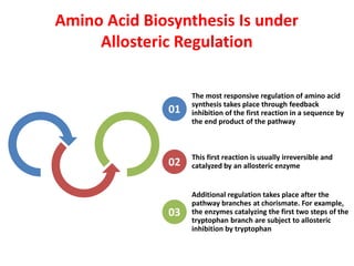 Amino Acid Biosynthesis Is under
Allosteric Regulation
The most responsive regulation of amino acid
synthesis takes place through feedback
inhibition of the first reaction in a sequence by
the end product of the pathway
This first reaction is usually irreversible and
catalyzed by an allosteric enzyme
Additional regulation takes place after the
pathway branches at chorismate. For example,
the enzymes catalyzing the first two steps of the
tryptophan branch are subject to allosteric
inhibition by tryptophan
01
02
03
 