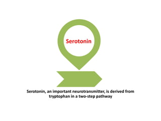 Serotonin, an important neurotransmitter, is derived from
tryptophan in a two-step pathway
Serotonin
 
