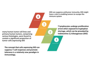 1
2
3
4
The concept that cells expressing IDO can
suppress T-cell responses and promote
tolerance is a relatively new paradigm in
immunology.
many human tumor cell lines and
primary human tumors, comprising
various histologies, were found to
contain a significant proportion of
tumor cells expressing IDO
T lymphocytes undergo proliferation
arrest when exposed to tryptophan
shortage, which can be provoked by
indoleamine 2,3-dioxygenase (IDO)
IDO can suppress antitumor immunity. IDO might
have a role in enabling tumors to escape the
immune system
 