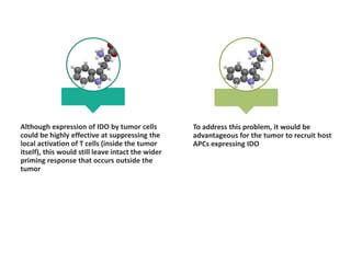 Although expression of IDO by tumor cells
could be highly effective at suppressing the
local activation of T cells (inside the tumor
itself), this would still leave intact the wider
priming response that occurs outside the
tumor
To address this problem, it would be
advantageous for the tumor to recruit host
APCs expressing IDO
 