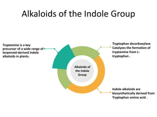 Alkaloids of the Indole Group
Tryptophan decarboxylase
Catalyzes the formation of
tryptamine from L-
tryptophan .
Indole alkaloids are
biosynthetically derived from
Tryptophan amino acid .
Tryptamine is a key
precursor of a wide range of
terpenoid-derived indole
alkaloids in plants.
Alkaloids of
the Indole
Group
 