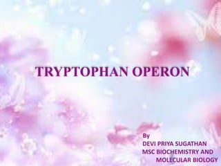 TRYPTOPHAN OPERON
By
DEVI PRIYA SUGATHAN
MSC BIOCHEMISTRY AND
MOLECULAR BIOLOGY
 