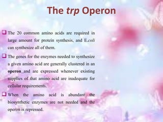 The trp Operon
 The 20 common amino acids are required in
large amount for protein synthesis, and E.coli
can synthesize all of them.
 The genes for the enzymes needed to synthesize
a given amino acid are generally clustered in an
operon and are expressed whenever existing
supplies of that amino acid are inadequate for
cellular requirements.
 When the amino acid is abundant the
biosynthetic enzymes are not needed and the
operon is repressed.
 