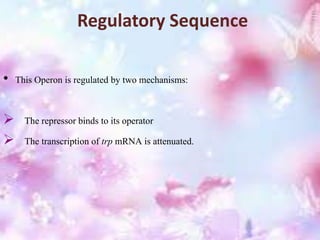 Regulatory Sequence
• This Operon is regulated by two mechanisms:
 The repressor binds to its operator
 The transcription of trp mRNA is attenuated.
 