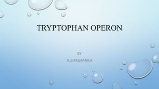 TRYPTOPHAN OPERON
BY
A.SHASHANKA