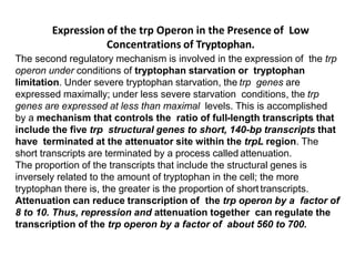 Expression of the trp Operon in the Presence of Low
Concentrations of Tryptophan.
The second regulatory mechanism is involved in the expression of the trp
operon under conditions of tryptophan starvation or tryptophan
limitation. Under severe tryptophan starvation, the trp genes are
expressed maximally; under less severe starvation conditions, the trp
genes are expressed at less than maximal levels. This is accomplished
by a mechanism that controls the ratio of full-length transcripts that
include the five trp structural genes to short, 140-bp transcripts that
have terminated at the attenuator site within the trpL region. The
short transcripts are terminated by a process called attenuation.
The proportion of the transcripts that include the structural genes is
inversely related to the amount of tryptophan in the cell; the more
tryptophan there is, the greater is the proportion of shorttranscripts.
Attenuation can reduce transcription of the trp operon by a factor of
8 to 10. Thus, repression and attenuation together can regulate the
transcription of the trp operon by a factor of about 560 to 700.
27
 