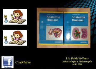 Anatomia del Triceps Sural