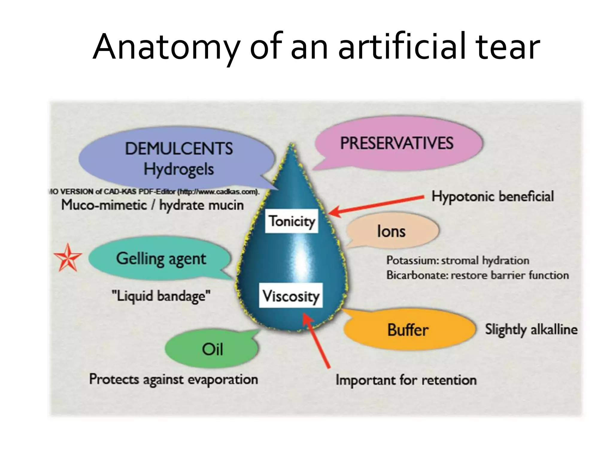 Anatomy of an artificial tear
 