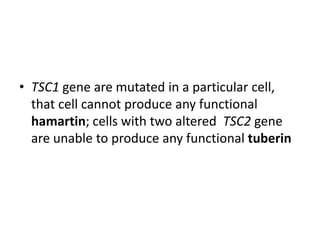 • TSC1 gene are mutated in a particular cell,
that cell cannot produce any functional
hamartin; cells with two altered TSC...