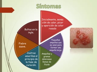 Inicialmente, sensa
ción de calor, picor
y aparición de color
rosado
Pequeñas
ampollas que
se unen para
formar una
ampolla larga.
Ampollas y
granos
dolorosos
llenos de
fluido
Costras
amarillas al
principio de
la fase de
curación.
Fiebre
suave.
Bultos en la
ingle.
 