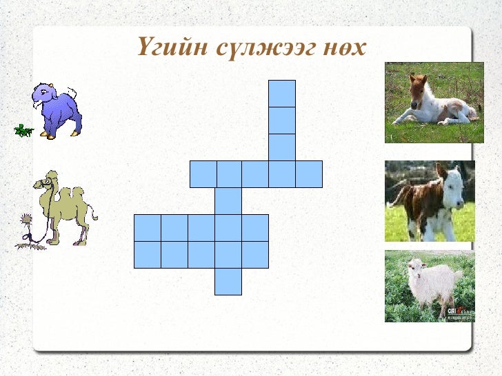 монгол хэл бататгал хичээл Ts.b