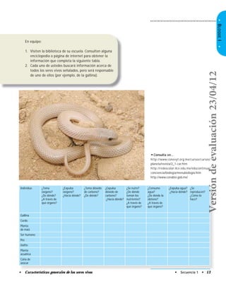 • Secuencia 1 • 13• Características generales de los seres vivos
•BLOQUEI•
En equipo:
1. Visiten la biblioteca de su escuela. Consulten alguna
enciclopedia o página de internet para obtener la
información que completa la siguiente tabla.
2. Cada uno de ustedes buscará información acerca de
todos los seres vivos señalados, pero será responsable
de uno de ellos (por ejemplo, de la gallina).
• Consulta en…
http://www.conevyt.org.mx/cursos/cursos/
planeta/revista/2_1-car.htm
http://redescolar.ilce.edu.mx/educontinua/
conciencia/biologia/menubiologia.htm
http://www.conabio.gob.mx/
Individuo ¿Toma
oxígeno?
¿De dónde?
¿A través de
qué órgano?
¿Expulsa
oxígeno?
¿Hacia dónde?
¿Toma dióxido
de carbono?
¿De dónde?
¿Expulsa
dióxido de
carbono?
¿Hacia dónde?
¿Se nutre?
¿De dónde
toman los
nutrientes?
¿A través de
qué órgano?
¿Consume
agua?
¿De dónde la
obtiene?
¿A través de
qué órgano?
¿Expulsa agua?
¿Hacia dónde?
¿Se
reproducen?
¿Cómo lo
hace?
Gallina
Cerdo
Planta
de maíz
Ser humano
Pez
Delfín
Planta
acuática
Caña de
azúcar
Versióndeevaluación23/04/12
 