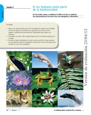14 • Bloque I • La biodiversidad: resultado de la evolución •
El ser humano como parte
de la biodiversidad
En esta sesión vamos a completar la tabla en la que se analizan
las características de los seres vivos, sus semejanzas y diferencias.
Sesión 2
En equipo:
1. Elijan a un representante que será el encargado de exponer los resultados
al resto del grupo y contrastará sus respuestas con las de los otros
equipos. Cuando éstas sean diferentes, discútanlas hasta llegar a un
consenso.
2. Al finalizar la sesión, todo el grupo deberá tener las mismas respuestas en
su tabla.
3. Escribe de manera individual un texto de una cuartilla en el que expreses
tus conclusiones sobre las semejanzas y diferencias entre las funciones que
realizan los seres vivos estudiados.
•BLOQUEI•
Versióndeevaluación23/04/12
 