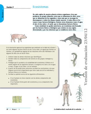 16 • Bloque I • La biodiversidad: resultado de la evolución •
•BLOQUEI•
Ecosistemas
En cada región de nuestro planeta existen organismos vivos que
producen su propio alimento, otros que se alimentan de ellos, otros
que se alimentan de los segundos y unos más que se encargan de
descomponer a todos los demás cuando mueren. A todos ellos se les
conoce como factores biológicos. Existen otros elementos como el agua,
el aire, la luz solar y el suelo, que se denominan factores físicos.
Como estudiaste en grados anteriores, un ecosistema está formado
por los factores físicos y biológicos que existen en una región
determinada y por las relaciones que se establecen entre ellos.
Sesión 3
En la ilustración aparecen los organismos que analizaste en la tabla de la Sesión 1,
así como algunos factores físicos (el aire, la luz solar y el agua) que forman un
sistema, y se ejemplifican algunas de las relaciones entre dos individuos o de
algunos de ellos con un factor físico.
1. Enlisten todas las demás relaciones que identifiquen.
2. Dividan todos los componentes del sistema en dos grupos: biológicos y
físicos.
3. Predigan qué le sucedería a la estabilidad del ecosistema si faltara en el
mismo alguno de los siguientes factores: el oxígeno en el aire o en el agua;
el maíz; el agua; la luz solar, o el ser humano.
4. A partir de las predicciones anteriores escriban las conclusiones a las que
llegaron acerca de la importancia que tiene cada uno de los individuos y
factores físicos en el sistema.
5. Escriban su opinión acerca de las siguientes afirmaciones.
● El ser humano no tiene relación con los demás componentes del
ecosistema.
● El ser humano forma parte del ecosistema y es su componente más
importante.
Versióndeevaluación23/04/12
 
