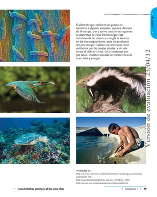 • Secuencia 1 • 19• Características generales de los seres vivos
•BLOQUEI•
El alimento que producen las plantas se
transfiere a algunos animales, quienes obtienen
de él energía, que a su vez transfieren a quienes
se alimentan de ellos. Parecería que esta
transferencia de materia y energía se termina
en los descomponedores, pero los productos
del proceso que realizan son utilizados como
nutrientes por las propias plantas, y de esta
forma el ciclo se cierra. Los ecosistemas son,
por tanto, enormes sistemas de transferencia de
materiales y energía.
• Consulta en…
http://recursos.cnice.mec.es/biosfera/alumno/2ESO/Energia_ecosistemas/
contenidos1.htm
http://www.bibliotecadigital.ilce.edu.mx/.../html/sec_3.htm
http://oncetv-ipn.net/naturaleza/series/relatos/index.htm
Versióndeevaluación23/04/12
 