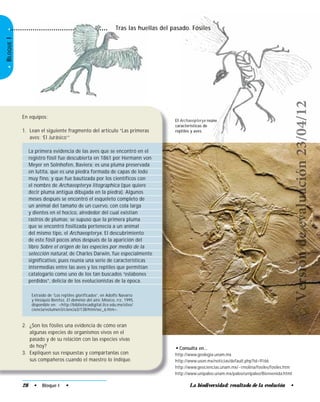 •BLOQUEI•
La biodiversidad: resultado de la evolución •
En equipos:
1. Lean el siguiente fragmento del artículo “Las primeras
aves: ‘El Jurásico’”
La primera evidencia de las aves que se encontró en el
registro fósil fue descubierta en 1861 por Hermann von
Meyer en Solnhofen, Baviera; es una pluma preservada
en lutita, que es una piedra formada de capas de lodo
muy fino, y que fue bautizada por los científicos con
el nombre de Archaeopteryx litographica (que quiere
decir pluma antigua dibujada en la piedra). Algunos
meses después se encontró el esqueleto completo de
un animal del tamaño de un cuervo, con cola larga
y dientes en el hocico, alrededor del cual existían
rastros de plumas; se supuso que la primera pluma
que se encontró fosilizada pertenecía a un animal
del mismo tipo, el Archaeopteryx. El descubrimiento
de este fósil pocos años después de la aparición del
libro Sobre el origen de las especies por medio de la
selección natural, de Charles Darwin, fue especialmente
significativo, pues reunía una serie de características
intermedias entre las aves y los reptiles que permitían
catalogarlo como uno de los tan buscados “eslabones
perdidos”, delicia de los evolucionistas de la época.
Extraído de “Los reptiles glorificados”, en Adolfo Navarro
y Hesiquio Benítez, El dominio del aire, México, FCE, 1995,
disponible en: <http://bibliotecadigital.ilce.edu.mx/sites/
ciencia/volumen3/ciencia3/138/htm/sec_6.htm>.
2. ¿Son los fósiles una evidencia de cómo eran
algunas especies de organismos vivos en el
pasado y de su relación con las especies vivas
de hoy?
3. Expliquen sus respuestas y compártanlas con
sus compañeros cuando el maestro lo indique.
• Consulta en…
http://www.geologia.unam.mx
http://www.uson.mx/noticias/default.php?id=9166
http://www.geociencias.unam.mx/~rmolina/fosiles/fosiles.htm
http://www.unipaleo.unam.mx/paleo/unipaleo/Bienvenida.html
28 • Bloque I •
Tras las huellas del pasado. FósilesTras las hue
El Archaeopteryx reúne
características de
reptiles y aves.
Versióndeevaluación23/04/12
 