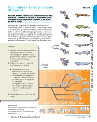 •BLOQUEI•
Eoceno Oligoceno Mioceno Plioceno Pleistoceno Presente
38 millones
de años
24 millones
de años
5 millones
de años
2 millones
de años
10 000
años
Continuidad y variación a través
del tiempo
En equipo:
1. Observen las ilustraciones de distintas
especies de tetrápodos (animales
de cuatro patas) y del grupo al que
pertenecen los elefantes. Compárenlas
y señalen las diferencias que
encuentren.
2. Analicen las imágenes y lleguen a
conclusiones con respecto a:
● Las modificaciones en las
poblaciones de elefantes con
respecto a la especie más antigua.
● Las variaciones estructurales que,
a través del tiempo, se observan
en la línea que va de los peces a
los tetrápodos.
● La importancia de la evidencia
fósil para la reconstrucción del
desarrollo evolutivo de una
especie.
3. Compartan sus ideas con el resto del
grupo.
Encontrar una sola evidencia fósil genera información, pero
ésta es más rica cuando se encuentran depósitos de varios
fósiles con estructuras parecidas originadas en un mismo
periodo de tiempo.
En el siglo XIX, el geólogo Charles Lyell observó que los
estratos en la Tierra se acumulan desde el más antiguo hasta
el más reciente y que estudiarlos brinda información acerca
de las condiciones ambientales que prevalecían en la época
que se formaron. Esto nos ayuda a que cuando encontramos
un fósil en un estrato determinado, podamos inferir algunas
características del organismo, como la época en que existió y
algunas condiciones del ecosistema del que formaban parte.
• Consulta en…
http://www.sma.df.gob.mx/mhn/index.php?op=04
asomate&op01=07evolucion
http://www.vertebrates.si.edu/msw/mswcfapp/
msw/index.cfm
Sesión 9
Secuencia
evolutiva de los
tetrápodos.
• Secuencia 2 • 29
Secuencia
evolutiva del
elefante.
• Importancia de las aportaciones de Darwin
Versióndeevaluación23/04/12
 