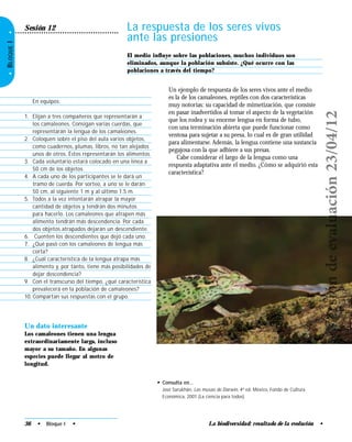 La biodiversidad: resultado de la evolución •
•BLOQUEI•
La respuesta de los seres vivos
ante las presiones
Sesión 12
El medio inﬂuye sobre las poblaciones, muchos individuos son
eliminados, aunque la población subsiste. ¿Qué ocurre con las
poblaciones a través del tiempo?
Un dato interesante
Los camaleones tienen una lengua
extraordinariamente larga, incluso
mayor a su tamaño. En algunas
especies puede llegar al metro de
longitud.
Un ejemplo de respuesta de los seres vivos ante el medio
es la de los camaleones, reptiles con dos características
muy notorias: su capacidad de mimetización, que consiste
en pasar inadvertidos al tomar el aspecto de la vegetación
que los rodea y su enorme lengua en forma de tubo,
con una terminación abierta que puede funcionar como
ventosa para sujetar a su presa, lo cual es de gran utilidad
para alimentarse. Además, la lengua contiene una sustancia
pegajosa con la que adhiere a sus presas.
Cabe considerar el largo de la lengua como una
respuesta adaptativa ante el medio. ¿Cómo se adquirió esta
característica?
En equipos:
1. Elijan a tres compañeros que representarán a
los camaleones. Consigan varias cuerdas, que
representarán la lengua de los camaleones.
2. Coloquen sobre el piso del aula varios objetos,
como cuadernos, plumas, libros, no tan alejados
unos de otros. Éstos representarán los alimentos.
3. Cada voluntario estará colocado en una línea a
50 cm de los objetos.
4. A cada uno de los participantes se le dará un
tramo de cuerda. Por sorteo, a uno se le darán
50 cm, al siguiente 1 m y al último 1.5 m.
5. Todos a la vez intentarán atrapar la mayor
cantidad de objetos y tendrán dos minutos
para hacerlo. Los camaleones que atrapen más
alimento tendrán más descendencia. Por cada
dos objetos atrapados dejarán un descendiente.
6. Cuenten los descendientes que dejó cada uno.
7. ¿Qué pasó con los camaleones de lengua más
corta?
8. ¿Cuál característica de la lengua atrapa más
alimento y, por tanto, tiene más posibilidades de
dejar descendencia?
9. Con el transcurso del tiempo, ¿qué característica
prevalecerá en la población de camaleones?
10. Compartan sus respuestas con el grupo.
36 • Bloque I •
• Consulta en…
José Sarukhán, Las musas de Darwin, 4a
ed. México, Fondo de Cultura
Económica, 2001 (La ciencia para todos).
Versióndeevaluación23/04/12
 