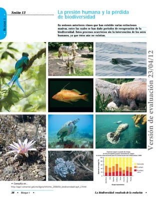 La biodiversidad: resultado de la evolución •
•BLOQUEI•
La presión humana y la pérdida
de biodiversidad
En sesiones anteriores vimos que han existido varias extinciones
masivas, entre las cuales se han dado periodos de recuperación de la
biodiversidad. Estos procesos ocurrieron sin la intervención de los seres
humanos, ya que éstos aún no existían.
• Consulta en…
http://app1.semarnat.gob.mx/dgeia/informe_2008/04_biodiversidad/cap4_2.html
Sesión 13
100
80
60
40
20
0
Mamíferos
Aves
Reptiles
Anﬁbios
Peces
Insectos
Moluscos
Plantas
Vulnerable
Especiesenriesgo(%)
Grupo taxonómico
Especies según su grado de riesgo,
en los principales grupos taxonómicos, según
la Unión Internacional para la Conservación de la Naturaleza, 2008
En peligro
En peligro
crítico
38 • Bloque I •
Versióndeevaluación23/04/12
 