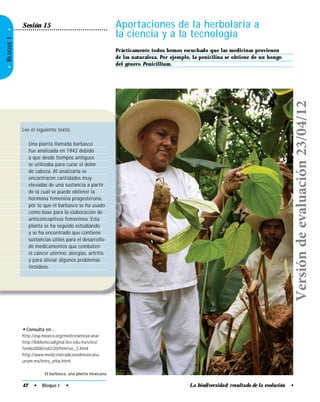 La biodiversidad: resultado de la evolución •
•BLOQUEI•
Sesión 15 Aportaciones de la herbolaria a
la ciencia y a la tecnología
Prácticamente todos hemos escuchado que las medicinas provienen
de las naturaleza. Por ejemplo, la penicilina se obtiene de un hongo
del género Penicillium.
El barbasco, una planta mexicana.
Lee el siguiente texto:
Una planta llamada barbasco
fue analizada en 1942 debido
a que desde tiempos antiguos
se utilizaba para curar el dolor
de cabeza. Al analizarla se
encontraron cantidades muy
elevadas de una sustancia a partir
de la cual se puede obtener la
hormona femenina progesterona,
por lo que el barbasco se ha usado
como base para la elaboración de
anticonceptivos femeninos. Esta
planta se ha seguido estudiando
y se ha encontrado que contiene
sustancias útiles para el desarrollo
de medicamentos que combaten
el cáncer uterino, alergias, artritis
y para aliviar algunos problemas
tiroideos.
42 • Bloque I •
• Consulta en…
http://esp.mexico.org/medicinamexicana/
http://bibliotecadigital.ilce.edu.mx/sites/
fondo2000/vol2/20/htm/sec_5.html
http://www.medicinatradicionalmexicana.
unam.mx/intro_atlas.html
Versióndeevaluación23/04/12
 