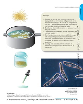 •BLOQUEI•
En equipo:
1. Consigan un puño de paja, hiérvanla en un litro de
agua y déjenla en un frasco con la tapa abierta por lo
menos durante ocho días. Al cabo de ese tiempo tomen
una gota y obsérvenla en el microscopio. Si no cuentan
con uno, obsérvenla con un juego de lupas.
2. Describan su observación y realicen en su cuaderno un
dibujo de la misma.
3. Comenten sus notas y a partir de éstas respondan: ¿qué
hay en el frasco?
4. Entre las aportaciones más relevantes del microscopio
está la capacidad para explicar las enfermedades
infecciosas, pues anteriormente no se sabía que eran
producidas por algunos microorganismos como el
paramecio.
5. Investiga en la biblioteca información sobre el
paramecio e incorpórala a tus observaciones en el
microscopio.
• Consulta en…
K. Rogers, El gran libro del microscopio, México, SEP-Océano, 2003 (Libros del rincón),
disponible en: <http://www.educarchile.cl/Portal.Base/Web/VerContenido.aspx?ID=137257>.
Los paramecios son
organismos unicelulares
que se mueven utilizando
pequeños filamentos
llamados cilios.
• Secuencia 3 • 47• Interacciones entre la ciencia y la tecnología en la satisfacción de necesidades e intereses
Versióndeevaluación23/04/12
 
